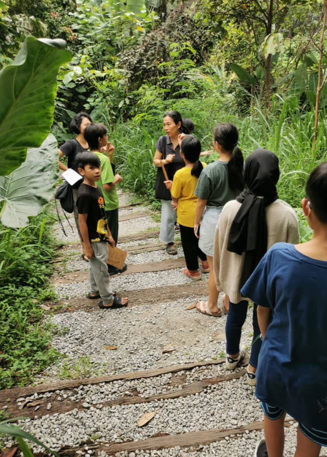 Bee Conservation Project - EAST HONEY AND HERB ENTERPRISE