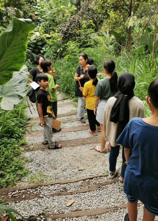 Bee Conservation Project - EAST HONEY AND HERB ENTERPRISE