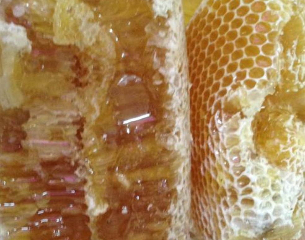 NIRWANA GELAM HONEY 325g - EAST HONEY AND HERB ENTERPRISE