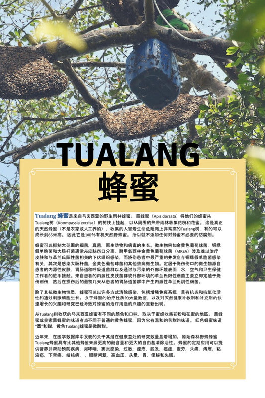 Tualang 蜂蜜 - EAT HONEY PRETTY