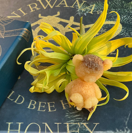 Pollen Bear - Amour Fou Series