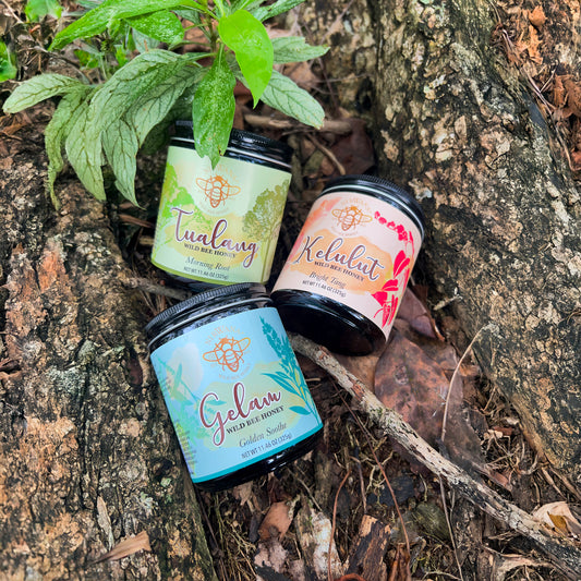 Nirwana Wild Bee Honey Christmas Bundle — Tualang, Kelulut & Gelam