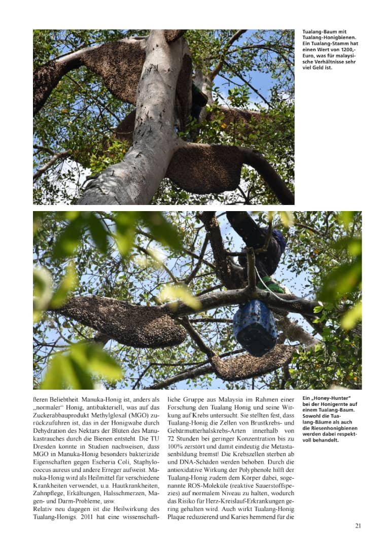 Morning Root | Wild Tualang Honey 325g